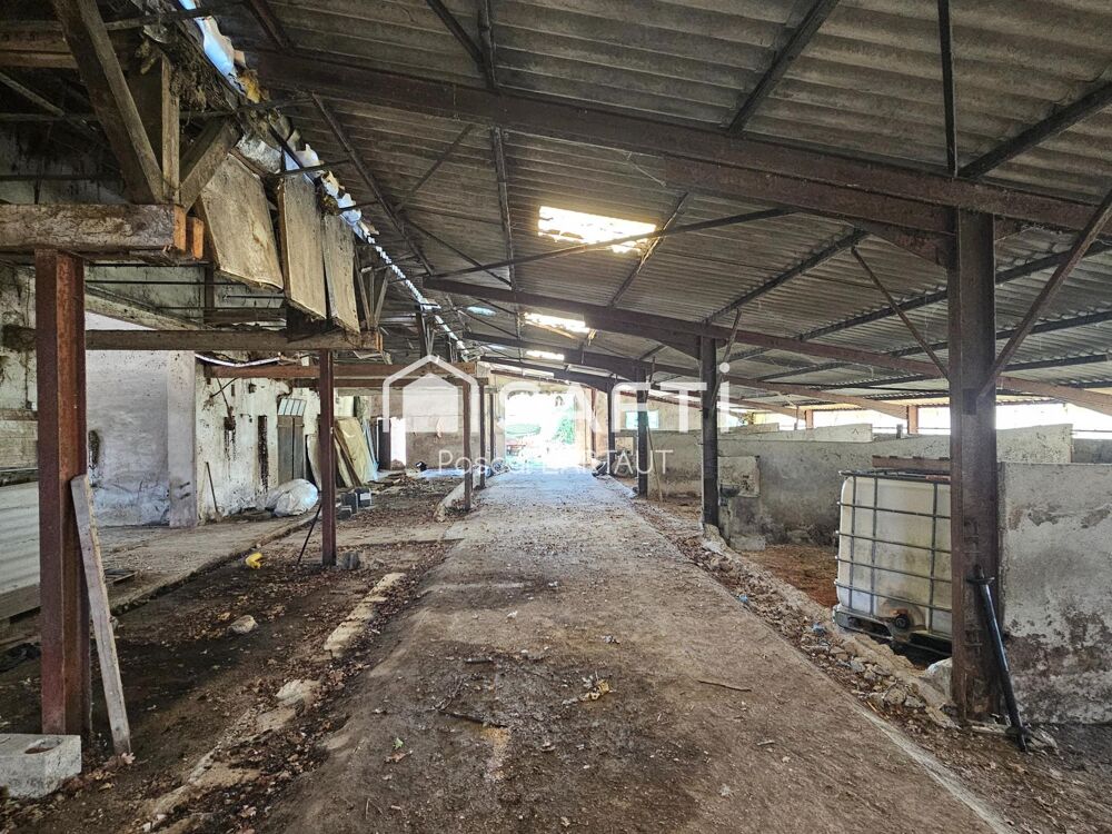 Vente Immeuble Grands bâtiments + hangars sur 2,4 ha de terrain Tronchy