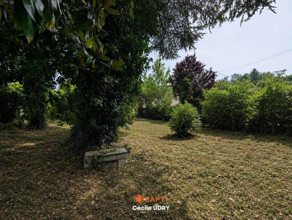 Projet Familial ou locatif à 10 km du ZOO de Beauval et Saint Aignan
