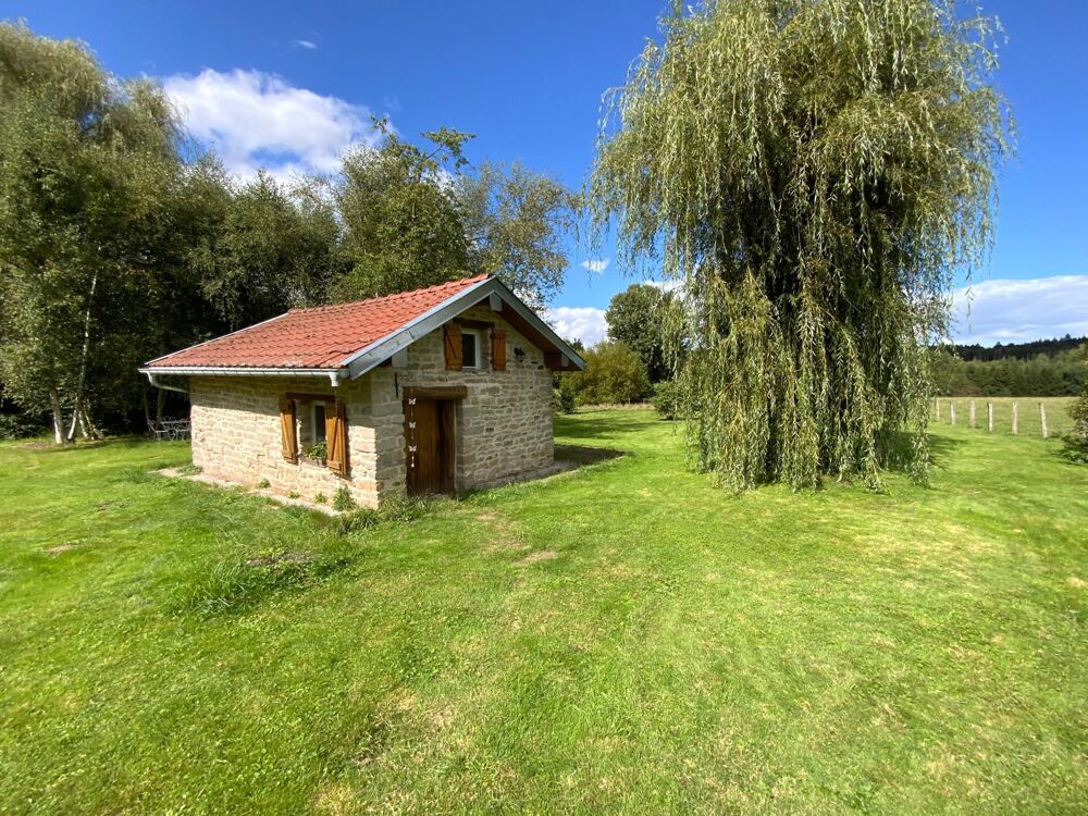 Vente Maison ANCIENNE FERME RENOVEE SANS TRAVAUX , HAVRE DE PAIX, TERRAIN PLAT ET ARBORE 3400 M2 Bains-les-bains