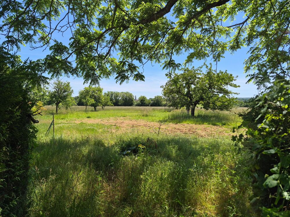 MAISON FAMILLE = 5 Ch + Parc 1/2ha + Dépendances