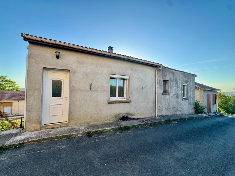 Vente Maison Maison louée avec annexe et garage Montastruc