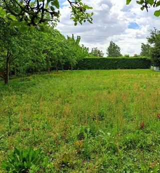  Terrain à vendre 1501 m²