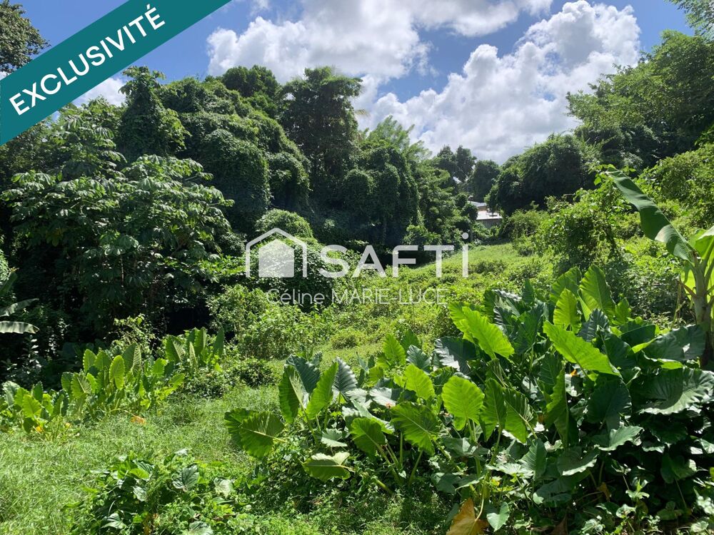 Vente Terrain Parcelle environnement calme Ducos