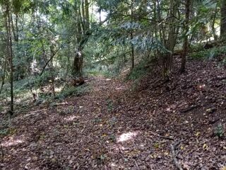  Terrain  vendre 5954 m