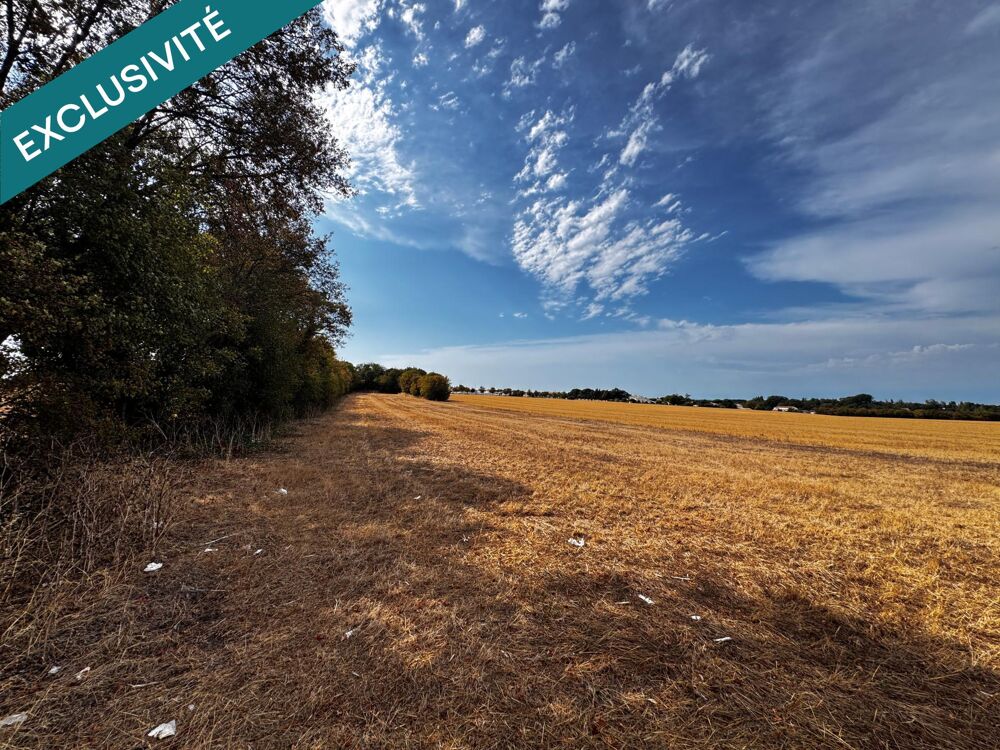 Vente Terrain Magnifique terrain agricole Nieul-sur-mer
