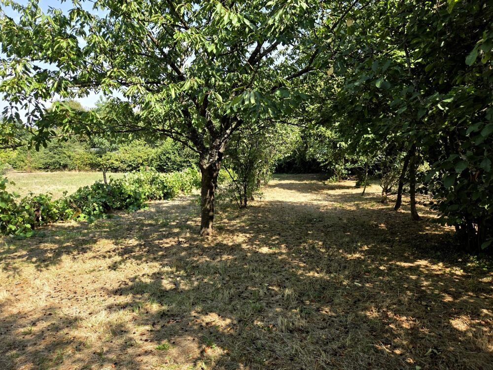 Vente Terrain Terrain constructible plat, avec verger! Saint-remy
