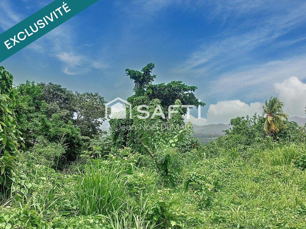 Vente Terrain Terrain en pente de 1410 m² Le francois