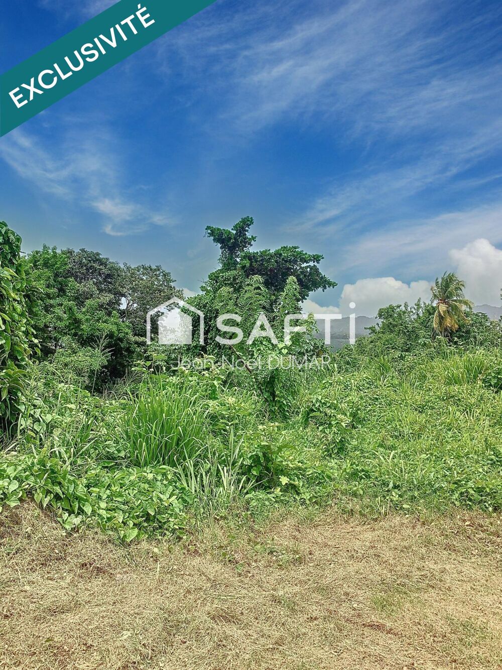 Vente Terrain Terrain en pente de 1410 m² Le francois