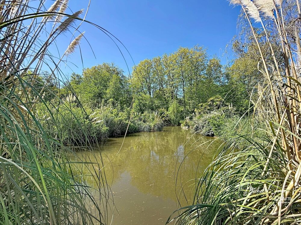 Vente Maison Maison de caractère – Près de 2 hectares en bord d'Adour Bayonne