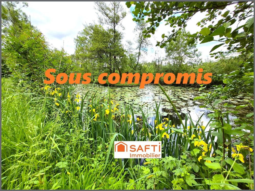 Vente Terrain ETANG + CHALET + PEUPLERAIE 8600m² Abilly
