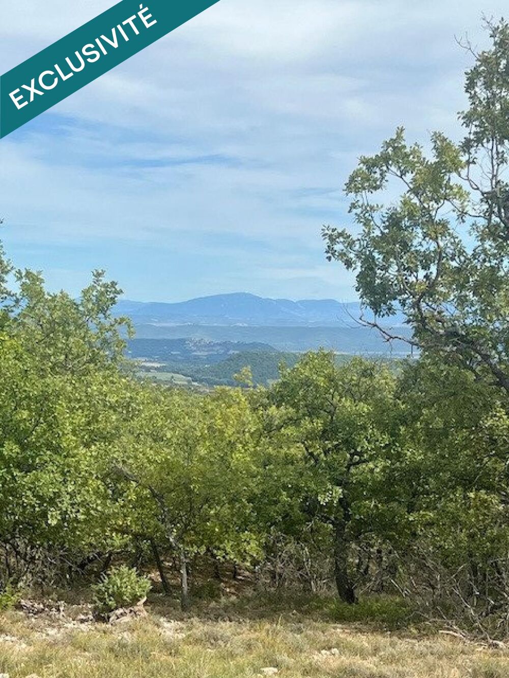 Vente Terrain Rare à la vente, terrain de loisir de près de 6 hectares Forcalquier