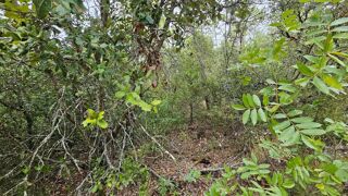  Terrain � vendre 11136 m�