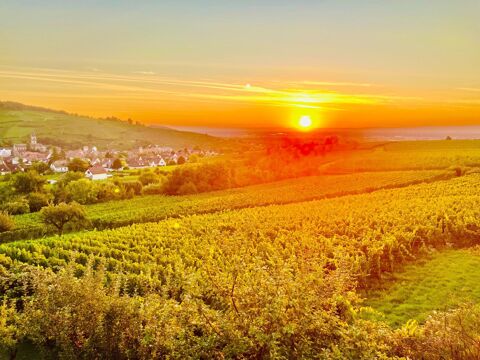   Sublime Appartement T3 Duplex Mansard� de 70 m� Appartement - 4 pi�ce(s) - 96 m�