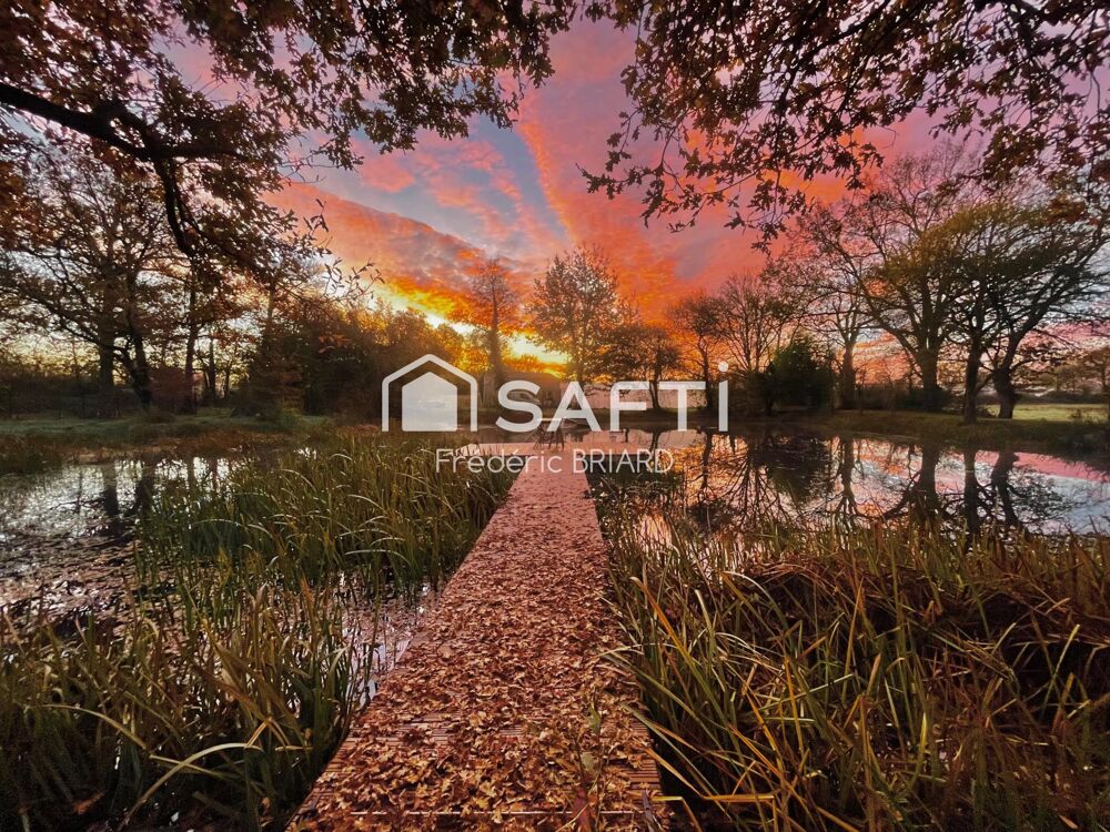 � vendre  Maison Sainte-Flaive-des-Loups (85150)