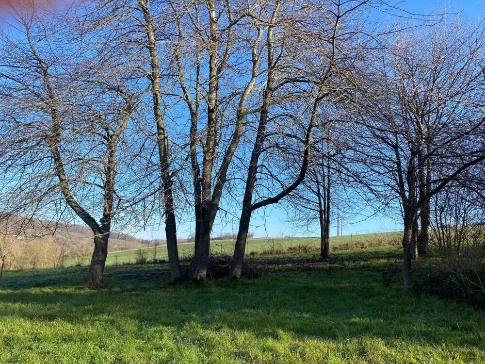 Vente Terrain Terrain constructible - Plain pied possible Charly-sur-marne