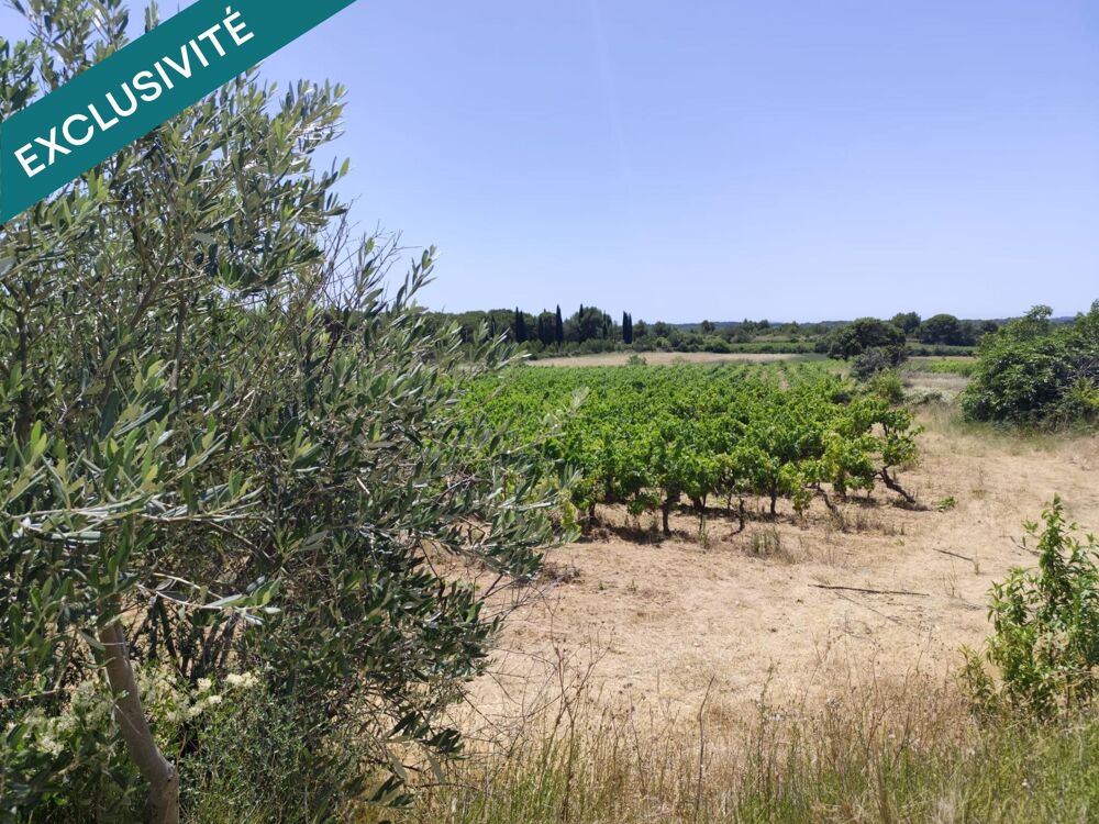 Vente Terrain Terrain agricole, avec eau, 4800€ Montagnac