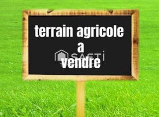  Terrain à vendre 16200 m²