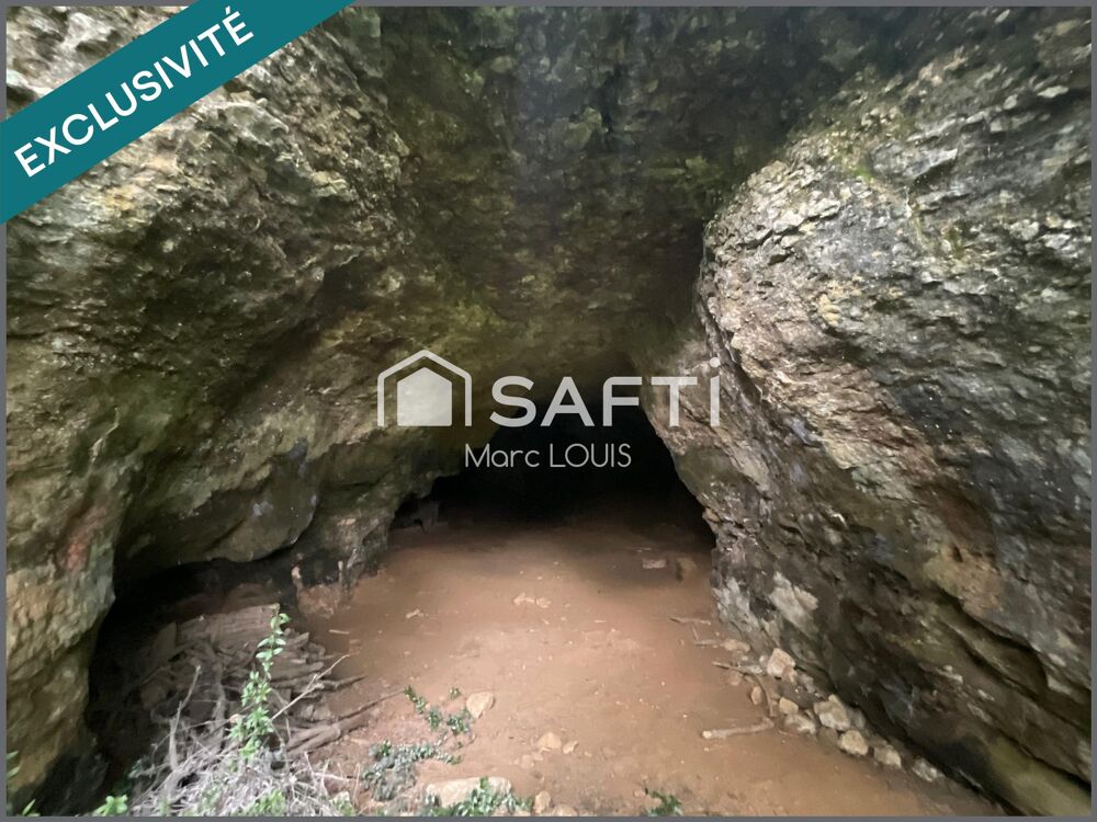 Vente Terrain Différentes essence de bois Saint-chamassy