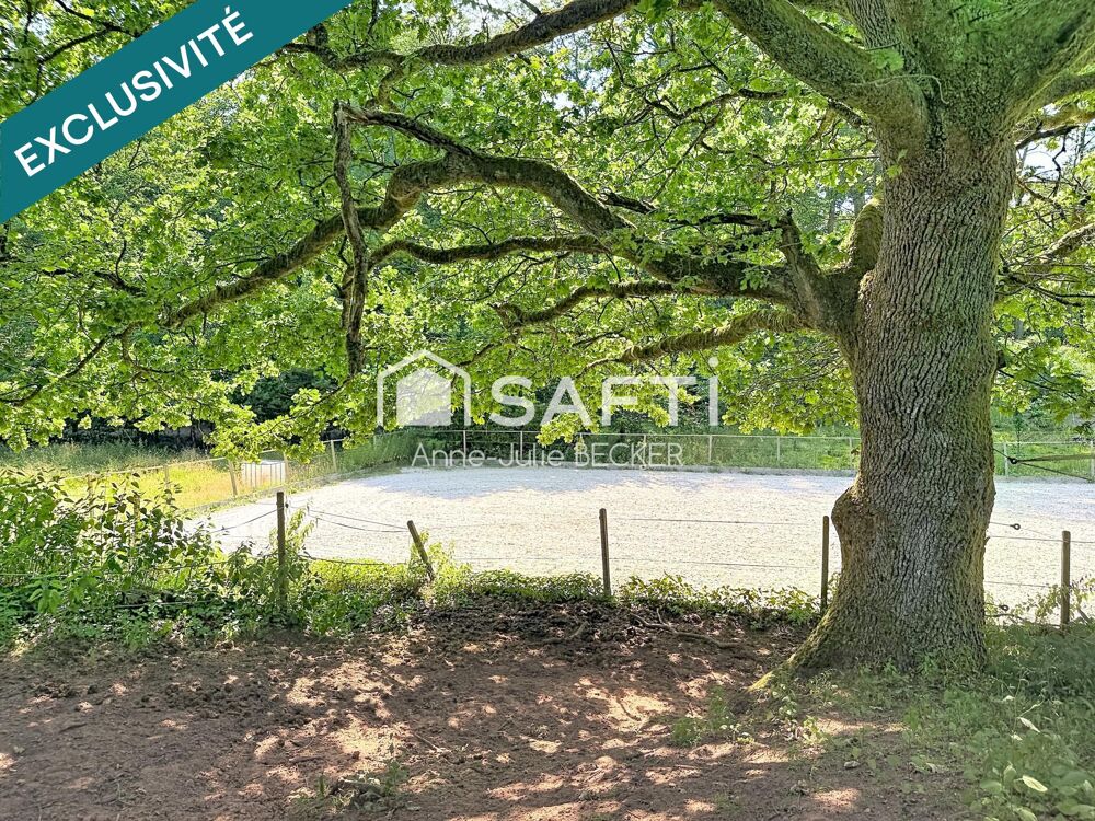 Vente Maison propriété équestre Soucht