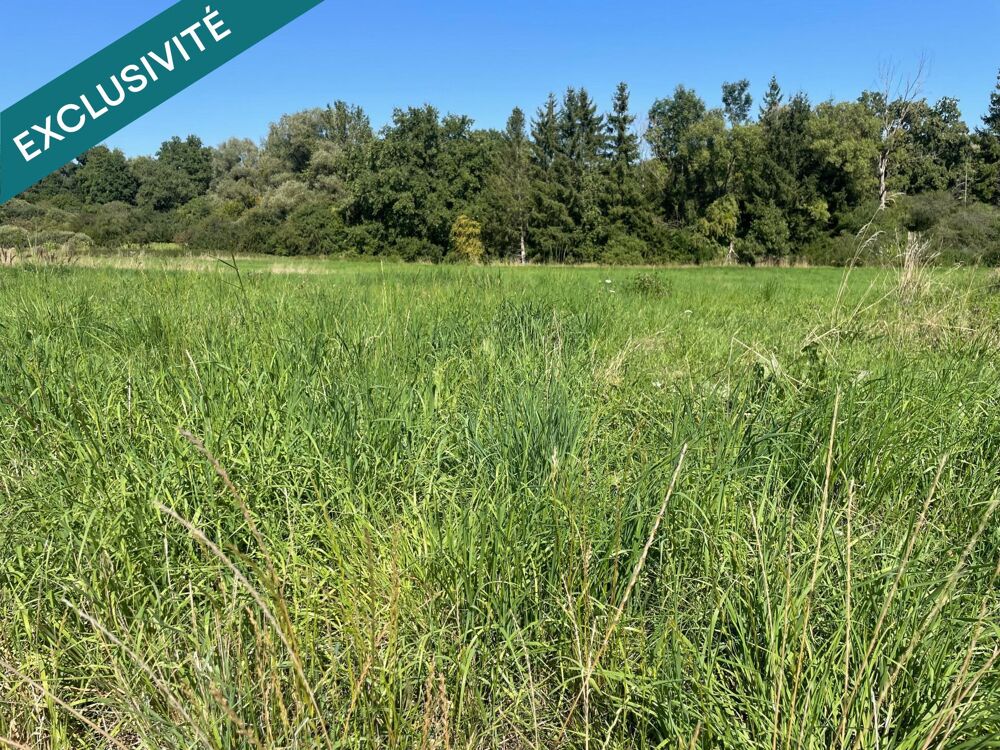 Vente Terrain À vendre – Terrain viabilisé de 9,67 ares Bibiche