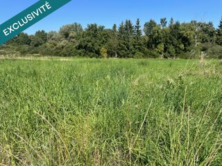 Vente Terrain À vendre – Terrain viabilisé de 9,67 ares Bibiche
