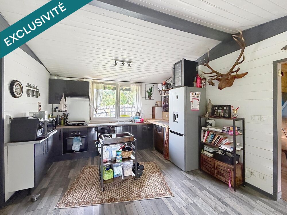 CHALET PROCHE DES PISTES