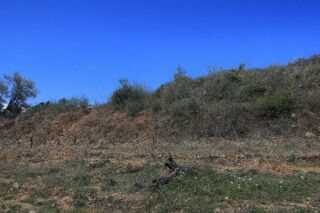  Terrain à vendre 11250 m²
