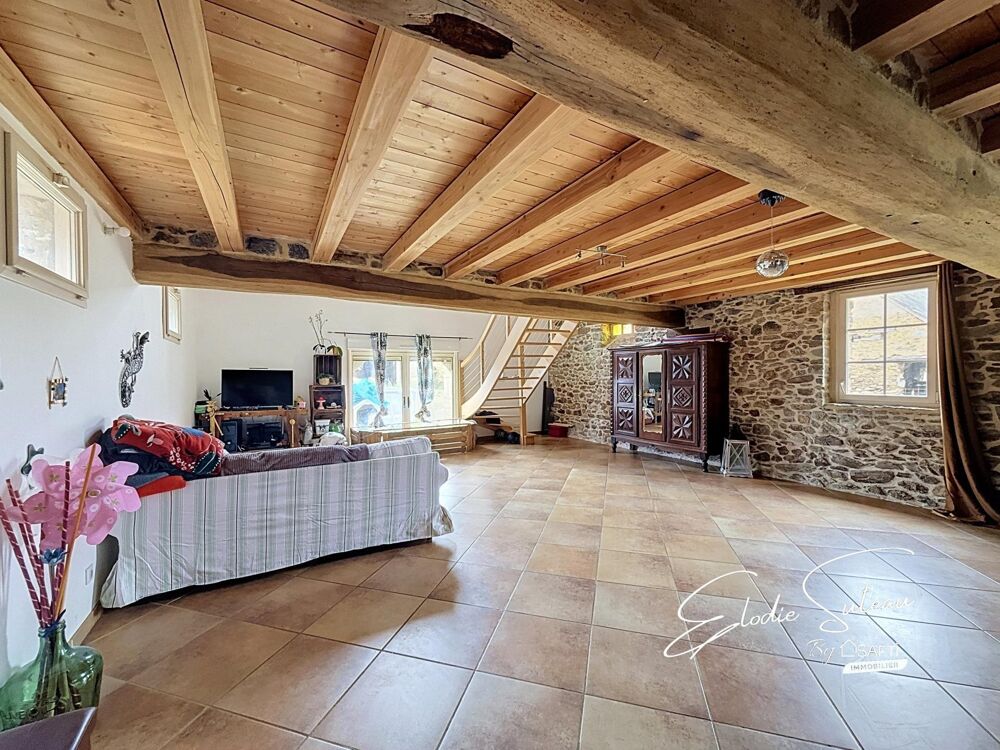 Vente Maison 6min Le Lion d'Angers Maison ancienne 209m2 Le lion-d'angers