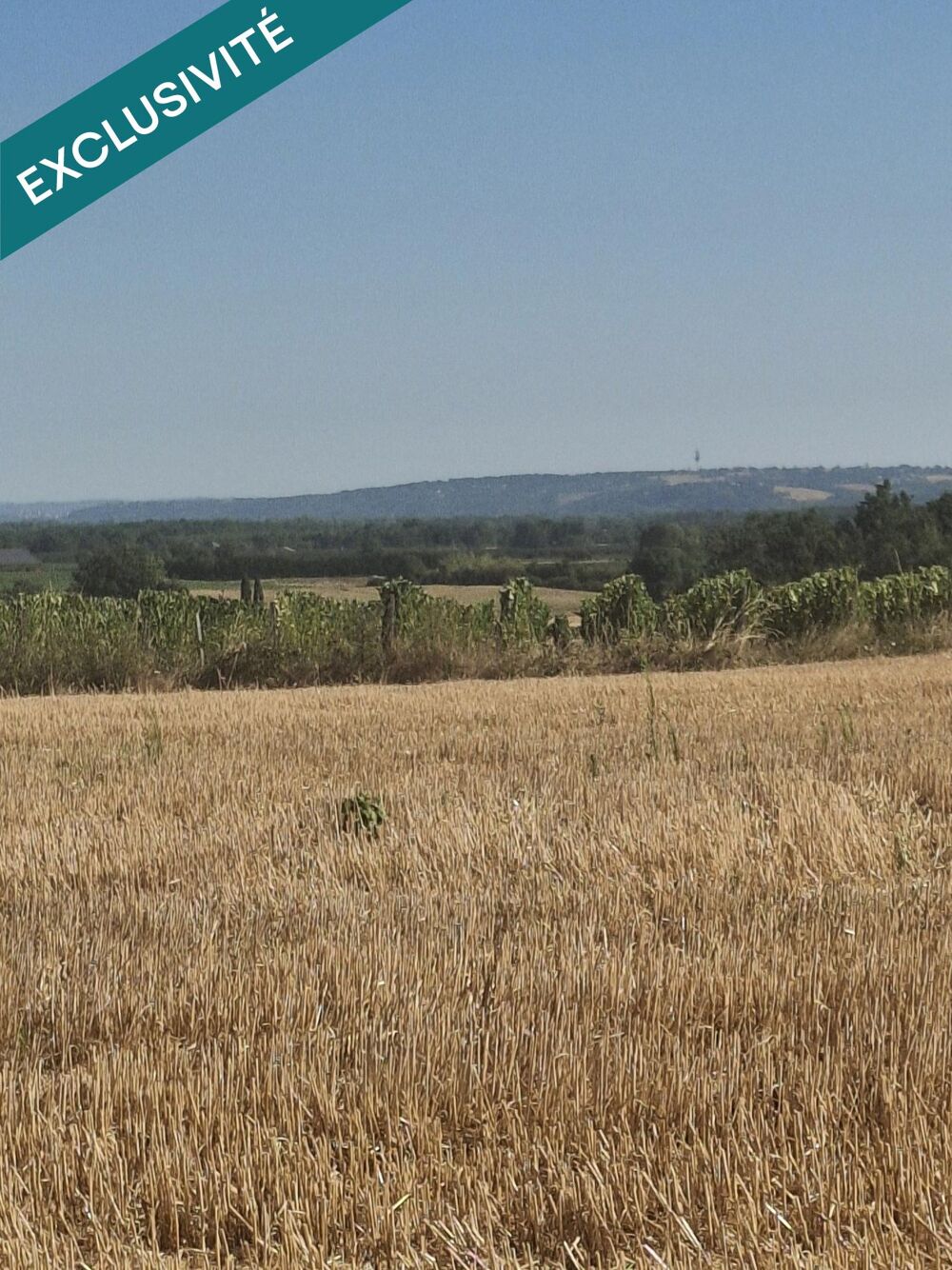 Vente Terrain Terrain agricole de 4 hectares – Réservé aux exploitant agricole – Secteur Campsas / Fabas Fabas