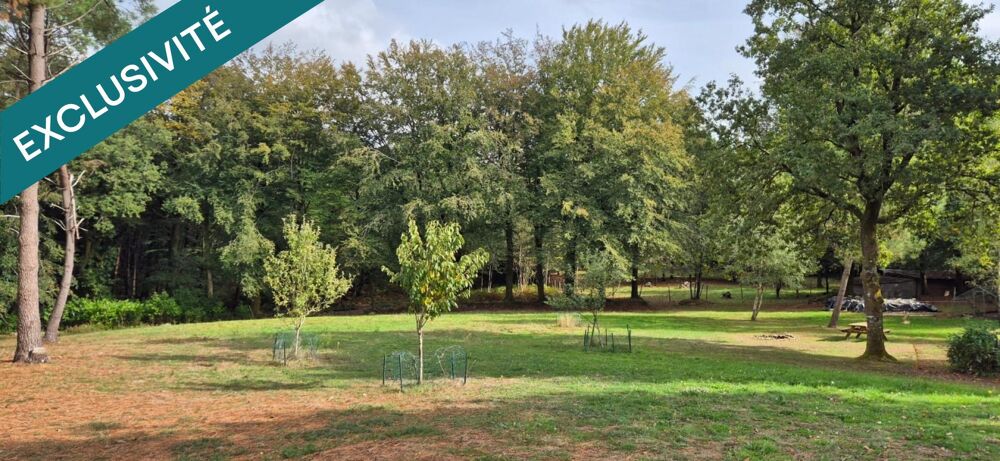 à vendre  Maison Pluvigner (56330)