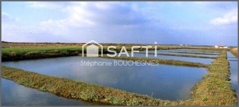 DOMAINE MARITIME RARE – SITE CONCHYLICOLE & AQUACOLE – &Icirc;LE D'OL&Eacute;RON 378000 17320 Marennes