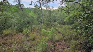  Terrain � vendre 11136 m� Sillans-la-cascade