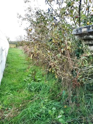  Maison � vendre 1 pi�ce 140 m�