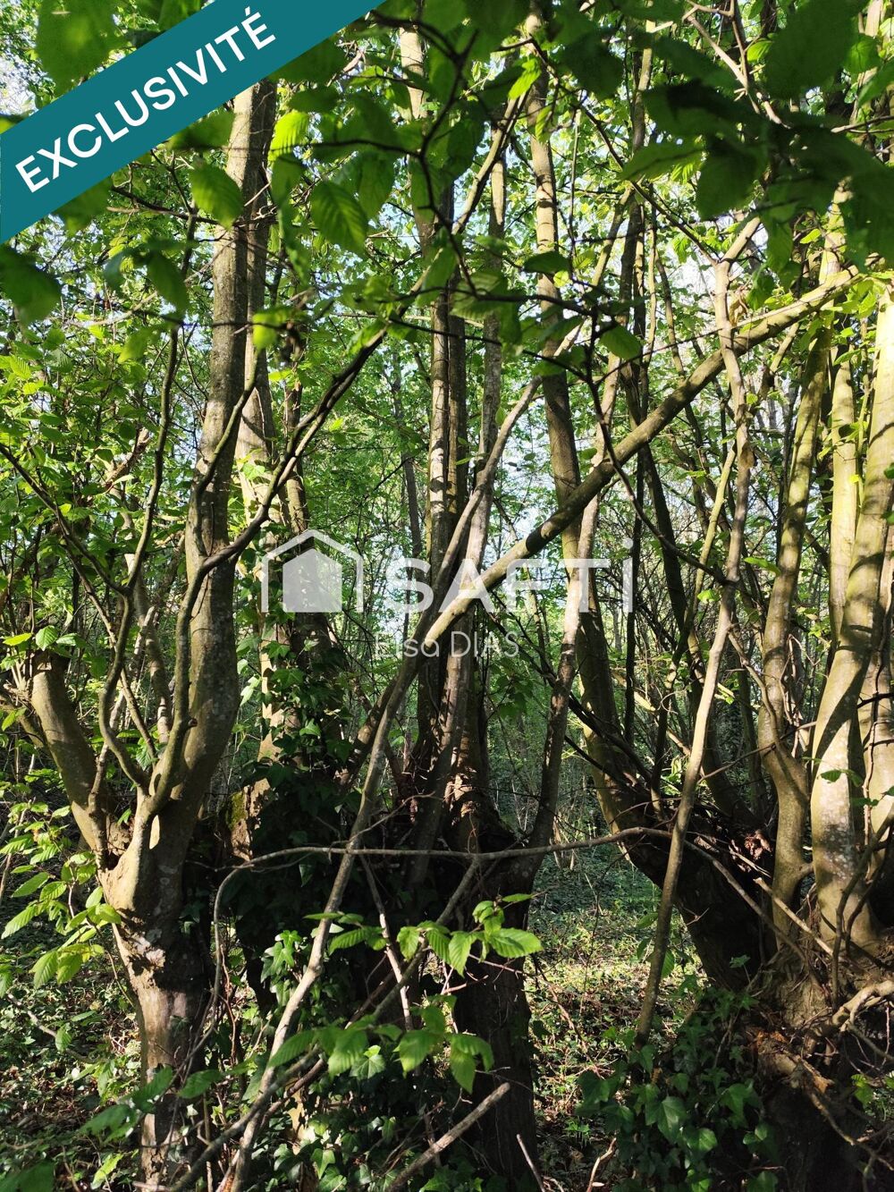 Vente Terrain Terrain verger avec bois exploitable Chateau-thierry