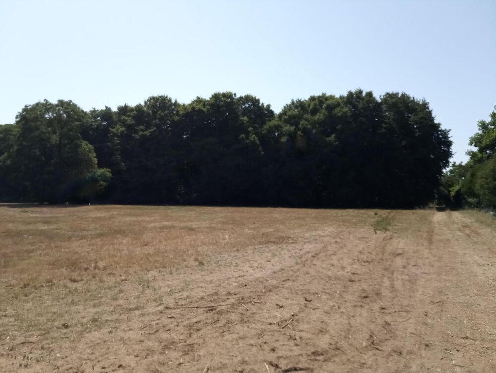 Vente Terrain magnifique terrain constructible à la campagne Gemozac