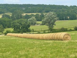  Maison � vendre 15 + pi�ces 420 m�