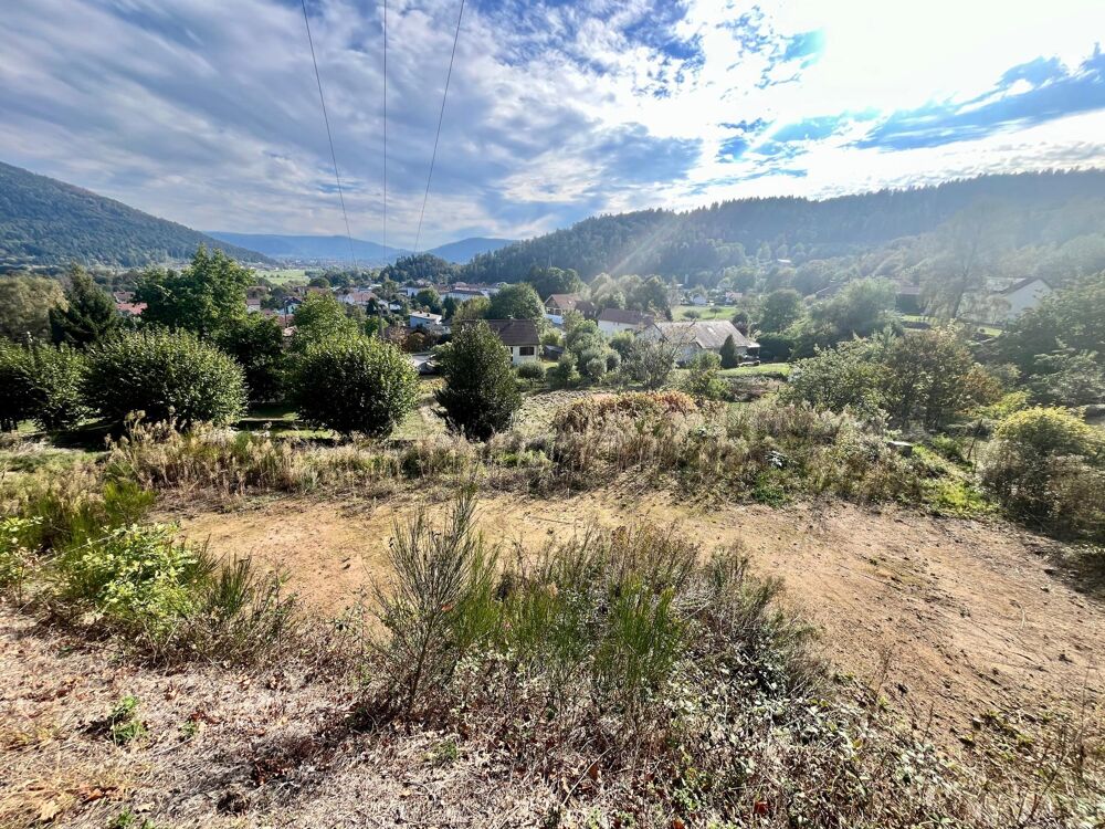Vente Terrain Terrain constructible avec vue panoramique Saint-nabord