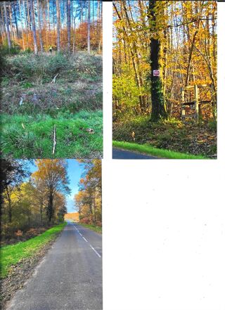  Terrain à vendre 89166 m²