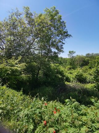  Terrain � vendre 2279 m�