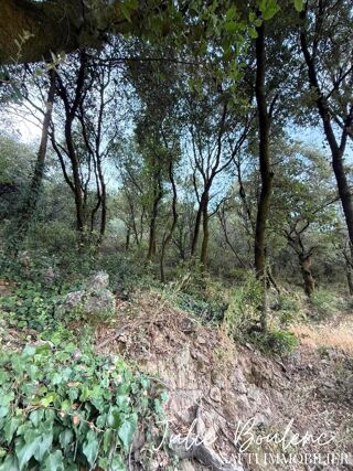  Terrain à vendre 45743 m²