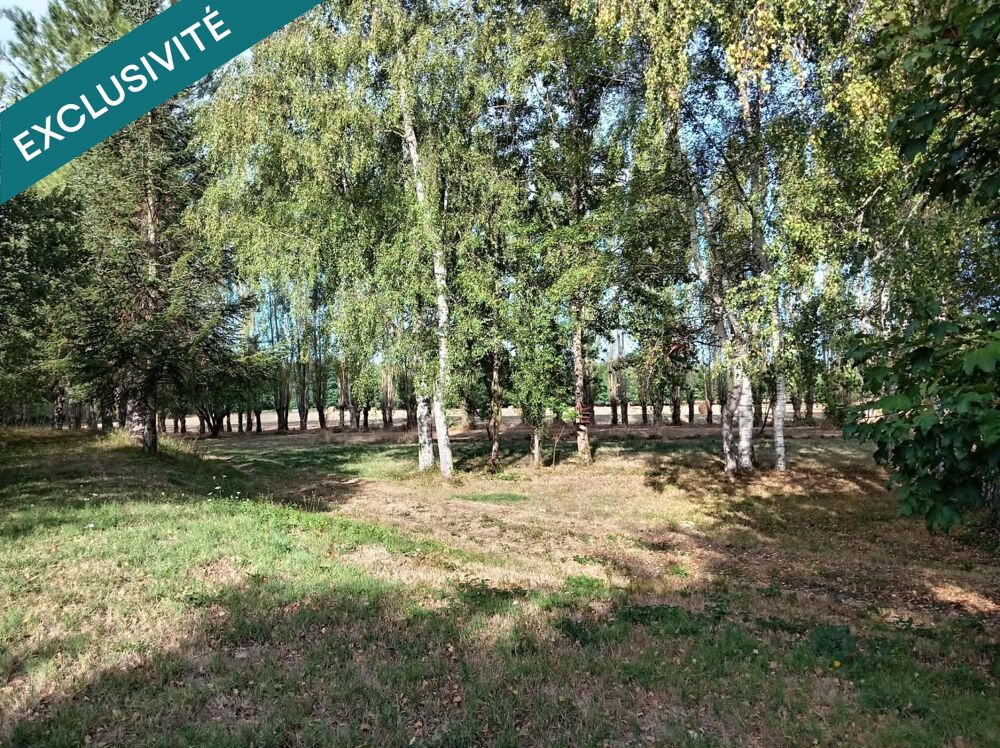 Vente Terrain TERRAIN DE LOISIR SUPERFICIE 48176 M2 avec etang 2500 M2 Sancoins