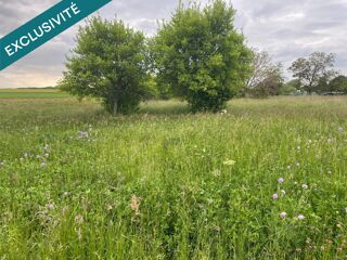  Terrain � vendre 800 m� Aillianville