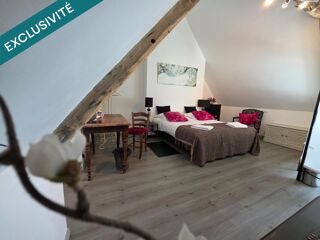  Maison � vendre 15 + pi�ces 300 m�