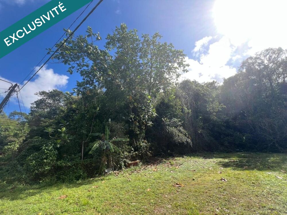 Vente Terrain Gosier - Terrain - Quartier calme Le gosier