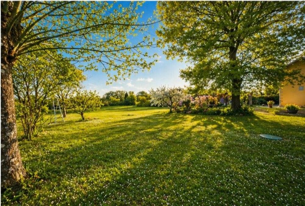 Grande maison sur magnifique terrain boisé