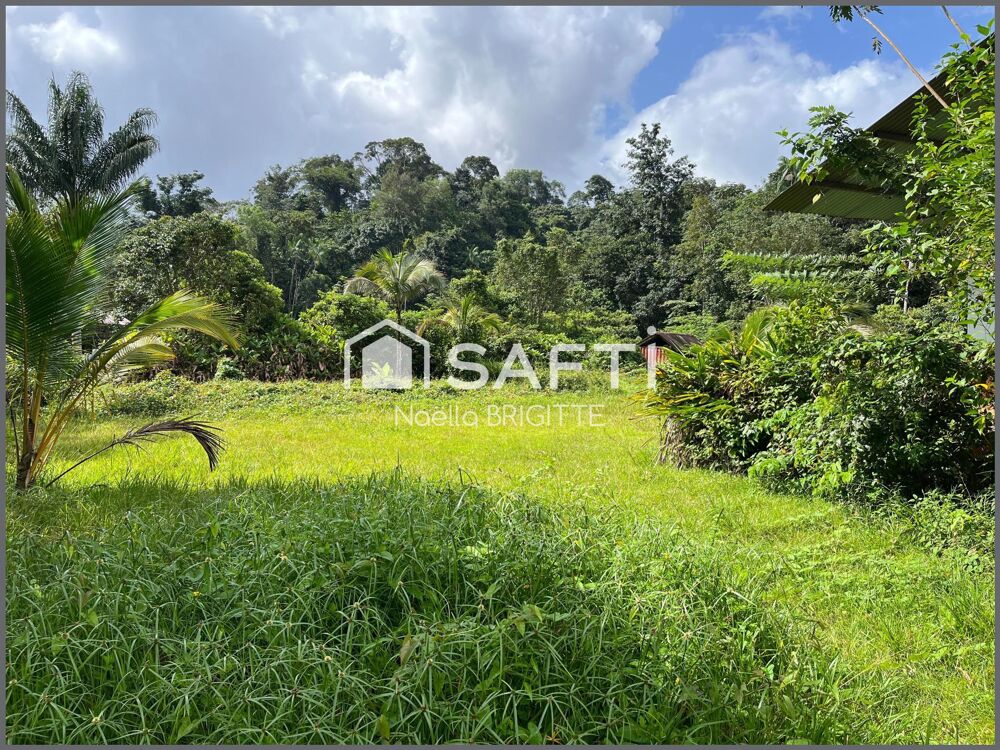 Vente Terrain Terrain arboré avec rivière sur Roura Roura