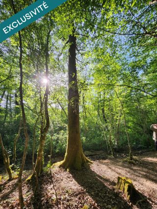  Terrain à vendre 112279 m²