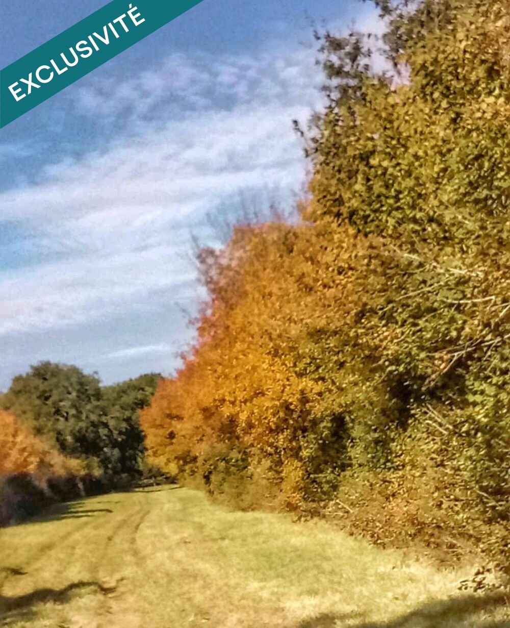 Vente Terrain Forêt de 52 ha à 20 min de La Rochelle – Chasse, nature et patrimoine Benon