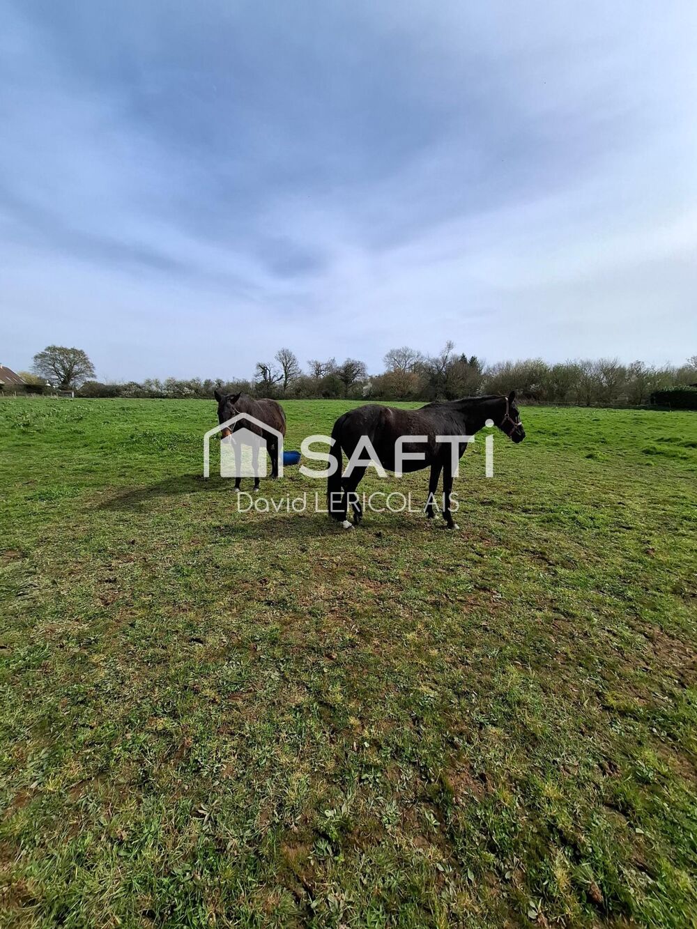 Vente Terrain TRES GRAND TERRAIN CONSTRUCTIBLE Graignes-mesnil-angot