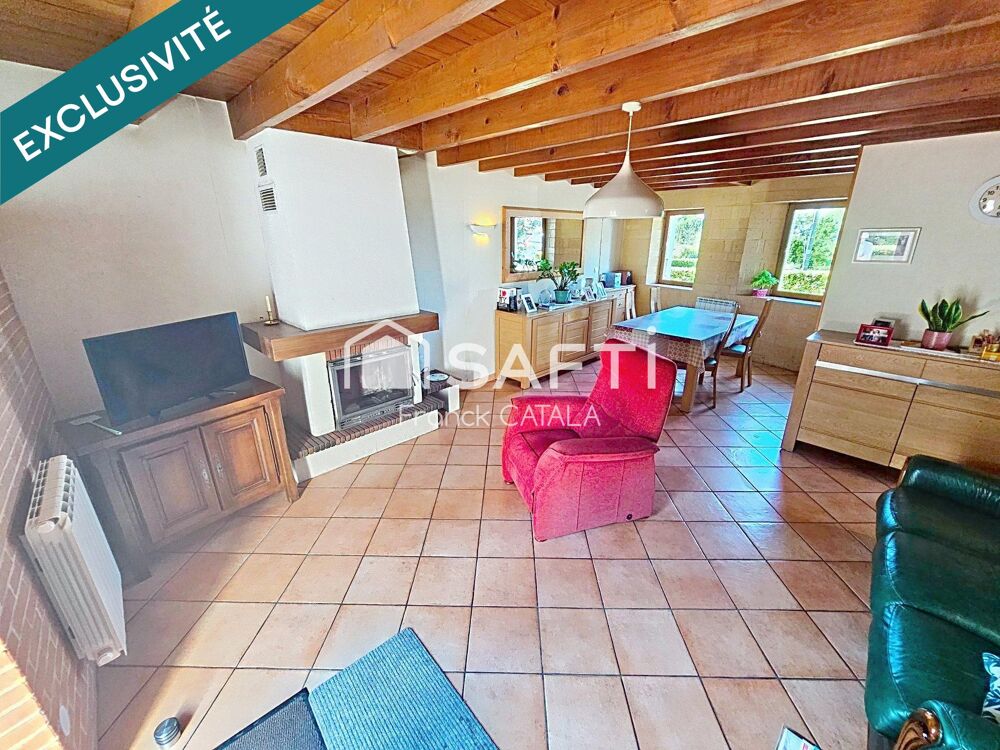 Vente Maison Du cachet pour cette maison à la campgne Nailloux